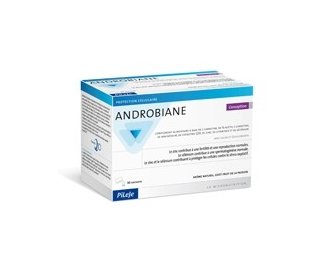 ANDROBIANE Conception 30 sachets