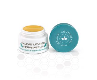 BAUME LEVRES REPARATEUR  la menthe des champs pot 6g