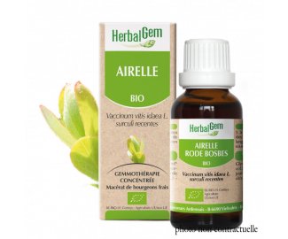 Bourgeon AIRELLE BIO - 30ml