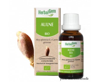 Bourgeon AULNE BIO - 30ml