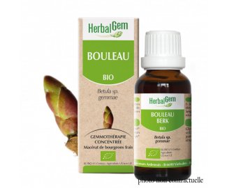 Bourgeon BOULEAU BIO - 30ml