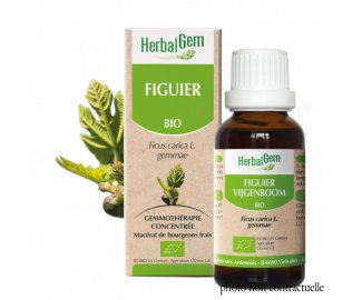 Bourgeon FIGUIER BIO - 30ml