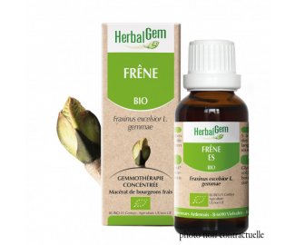 Bourgeon FRENE BIO - 30ml