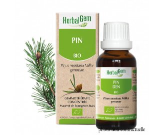 Bourgeon PIN DES MONTAGNES BIO - 30ml