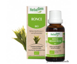 Bourgeon RONCE BIO - 30ml