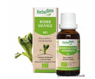 Bourgeon ROSIER SAUVAGE BIO - 30ml