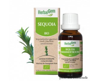 Bourgeon SQUOIA BIO - 30ml