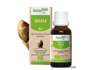 Bourgeon TILLEUL BIO - 30ml