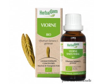 Bourgeon VIORNE BIO - 30ml