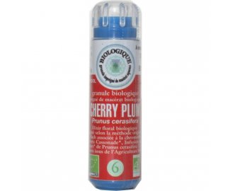 CHERRY PLUM en granules 6g