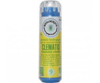 CLEMATIS en granules 6g