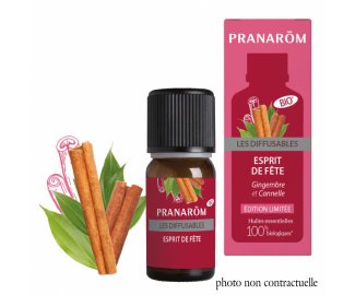 Diffusion ESPRIT DE FETE - 10ml