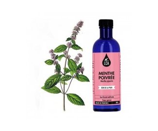 Eau florale MENTHE POIVREE BIO 200ml