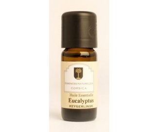 Eucalyptus globuleux 10ml BIO