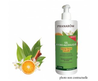 Gel Hydroalcoolique ORANGE/CANNELLE