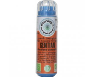 GENTIAN en granules 6g