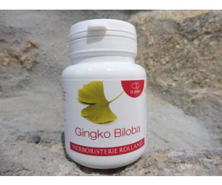 GINGKO BILOBA Extrait Sec - 60 glules