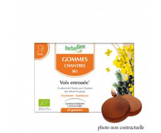 GOMMES CHANTRES BIO - 24 gommes