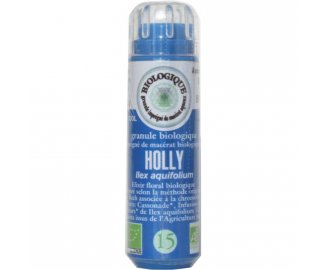 HOLLY en granules 6g