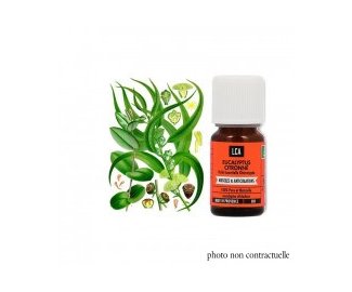 Huile essentielle EUCALYPTUS CITRONN BIO 