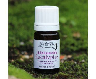 Huile essentielle EUCALYPTUS CRYPTONE