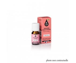 Huile essentielle GERANIUM ROSAT BIO