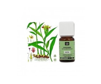 Huile essentielle GINGEMBRE BIO