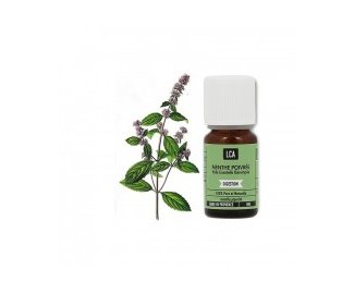 Huile essentielle MENTHE POIVREE BIO