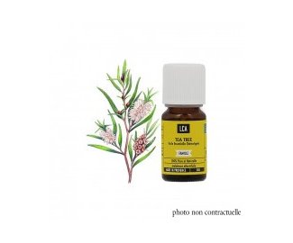 Huile essentielle TEA TREE BIO