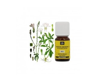 Huile essentielle VERVEINE ODORANTE