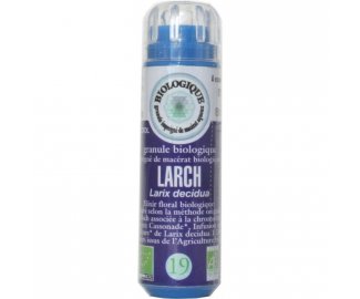 LARCH en granules 6g