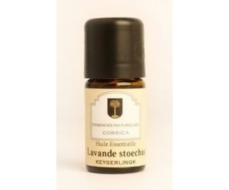 Lavande Stoechas flacon de 5ml BIO