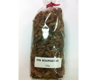 PIN Bourgeons 100g