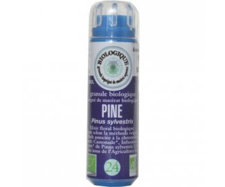 PINE en granules 6g