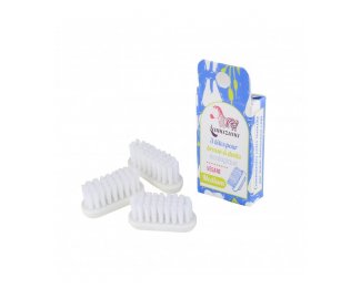 Ttes pour brosse  dents cologique x3 MEDIUM