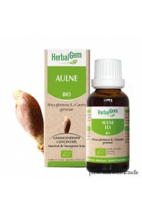 Bourgeon AULNE BIO - 30ml