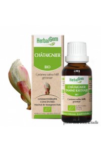 Bourgeon CHTAIGNIER BIO - 30ml