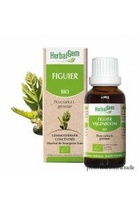 Bourgeon FIGUIER BIO - 30ml