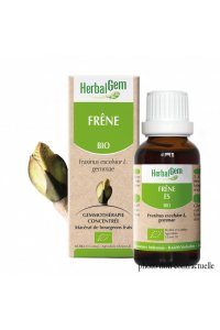 Bourgeon FRENE BIO - 30ml