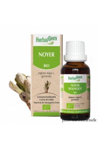 Bourgeon NOYER BIO - 30ml