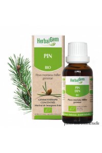 Bourgeon PIN DES MONTAGNES BIO - 30ml