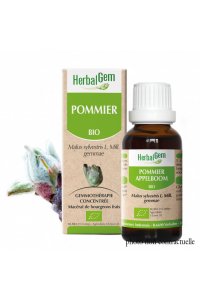 Bourgeon POMMIER BIO - 30ml