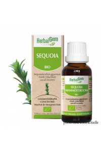 Bourgeon SQUOIA BIO - 30ml