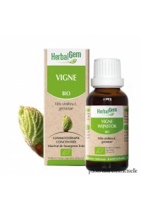 Bourgeon VIGNE BIO - 30ml