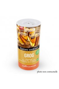 EPICES POUR GROG - 100g