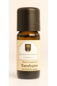 Eucalyptus globuleux 10ml BIO