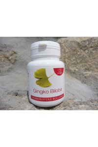 GINGKO BILOBA Extrait Sec - 60 gélules