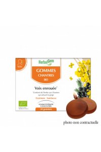 GOMMES CHANTRES BIO - 24 gommes