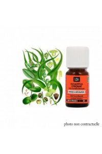 Huile essentielle EUCALYPTUS CITRONN BIO 