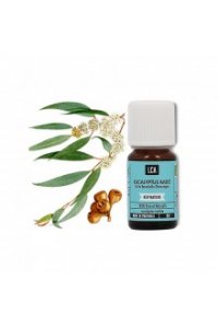 Huile essentielle EUCALYPTUS RADIATA BIO 